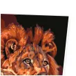 zestaw kreatywny do malowania po numerach lew i lwica obraz diy 40 x 50 cm
